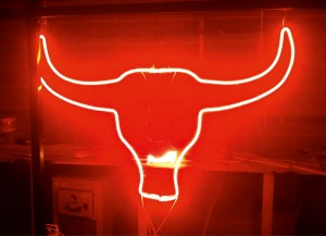 Exposed-neon-Bulls-head